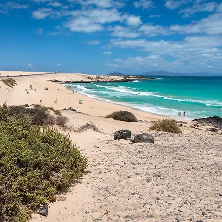 아파트 Pizarro 2b 코라레호